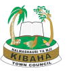 Kibaha Town Council